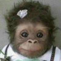 5c9185b5d2d0467a306b3c87813c63e74c3be45a