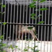 20f7ad56078153edf80d9da2517b93c861e930c2