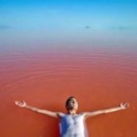 D7dd947f35cce97011f7d30b6da51ed3bc392552