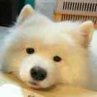 0f865557eefd9fd75d8b5a2b18997097466f7eb9