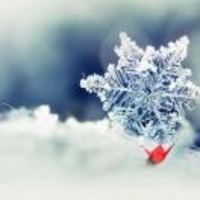 589b40b187f7d6e8ec9dbd62dd4782aa2e40c3c8