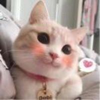 F2acb6a67f535d48cfd67b19d18f5ddbacd31189