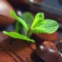 Db7ba6c768d0c3415d40a1f1c0c7bfc4cadfbebe