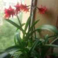 986bc1368f2ce1778909469c70f3076df383d337