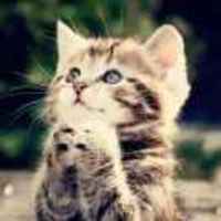 9ce9ec0539fbbb37f544964547e429686dba3160