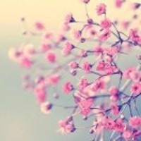 E98866179c6284ddcdf628a9e52bd4dd0a8ba10f