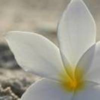 7cf91059a43ffb08b22b8d83bfe9e2d417f0b404