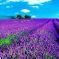 56265f50f9d8e832b53a702d33d1317c90389d59