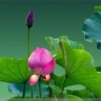 B1a1c8218b2cd91b739b127f37661defb2ac039c