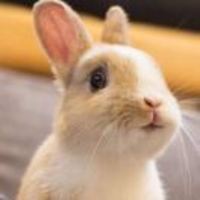 1d270a98f642ca89f5d9f8c646b1a657e0ea2ea1