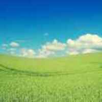 941d313fb0bc1767c9f131fbb538be9314af91b4