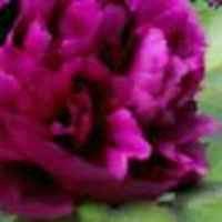 525b0d891d6000af678d6ee92206aac56c4c6edd