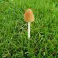 1012f758655e8f5174c384860b6dff96043cf84f