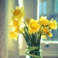 3a6c7f72ee4bb8d4ec7604bc698d3e4784d1daeb