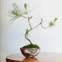 45ca7d356460c1dff5f109d29538751e3370dc8c