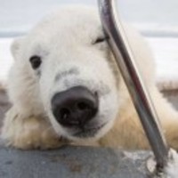 Aa1120e203d616155cfbebd6f85405bdc1110101