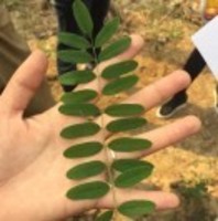 Df8dc386755a24b587ce71f64bd33f49728a684f