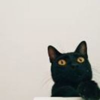 9c20a7137244dc6337217a3fe721915c796ff7b9