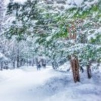 5642a22f3f8644ffb80d659fe67b9d4b8d6cabf0