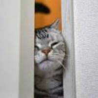 5b03df663a2f5d4851cd1c8374ee81e2302c0156