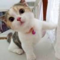 4ed62d5881cb9e27598ee14d47a55b56498c8465