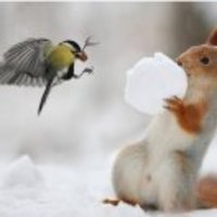 13bf882bec9cbaa5e829b907dc1e78a5ab705f91