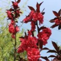 Aa333a2ed8c72641ab8b84a931d5a34152e90c15