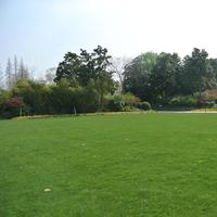 9a38fc238b4a274c8ee790eb1e058f8af3dbc412