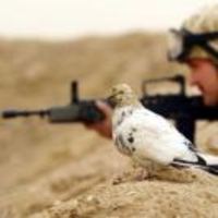 89f7127932dd91513f5b9dc7fab447cdcef28ae3