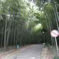 D4e62a91499da86a8306dd9fca2d01c8f5750efc