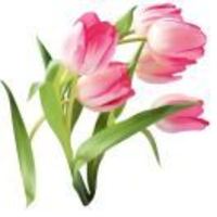 A624a8f17641e0588f0a00c3c8e8eb741a62a7d6