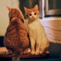 Be5bf0dc8765b34920d52ae3269d168dbac7a980