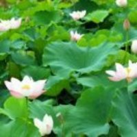 F30c72eec19616289c1da375b66b8445823eeed1