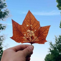 B1dd916f16315583f699f6de04b07de82a0dfc07