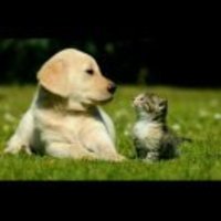 33f78f3f4cabdd14e5559f6f285765a1493692bc