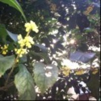 9c0a85756ba6e50c16f63d008bfb220ea6ad8571