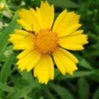 04a8b1a1370d2e8472dbf8df6cd7252ac645b19f