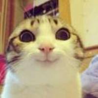 0015a0770cef46e94c44b71f166f09fd6654af75