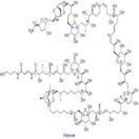 61872e230a913bbd80535623540de177b62e402c