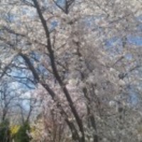 1a598c3a6ce49a9c5a6bb1722be62be924be2b1c