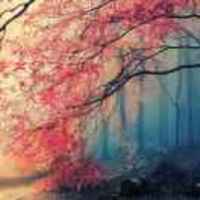 8c3d2118a4e6d848dc1abe21a21aa2d884eb4fa4