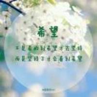 443ad41344b1d7fdecdbab59c628e96500812dea