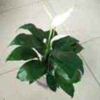 8c12597e4a8d1aa3bcb809dba226db2c2fa52ab4