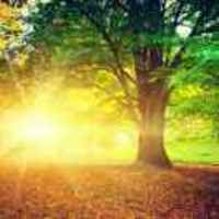 58f423475273b9feb40630c2280d95d5426be1c1