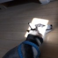 B65d28d2a443cf6eb8826db6f4bb5dd210708f0a