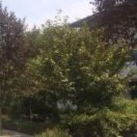 B37fbb849e8218b584f4ae09fe5c3aae1c855491