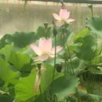 Eb249f7fc162f0e0c3cb92cec577cb694f1faee7