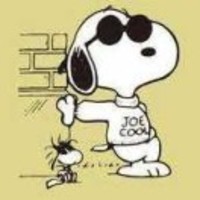 9b8443b8543ddabd74b2cc845a0515b26efed53d