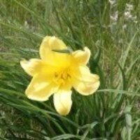 8d95216ef401380b892fc05f5f57dba421c2791b