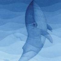 0db098f60ccd7f6916413a61f778a8c14efe1881